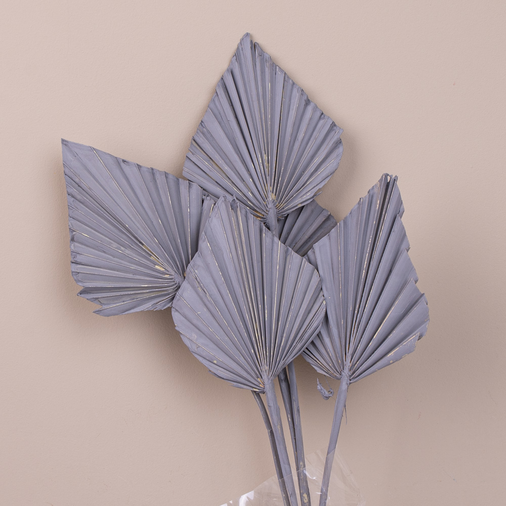 сухоцвет листья пальмы серые (5шт) palm spear сухоцвет листья пальмы серые (5шт) palm spear