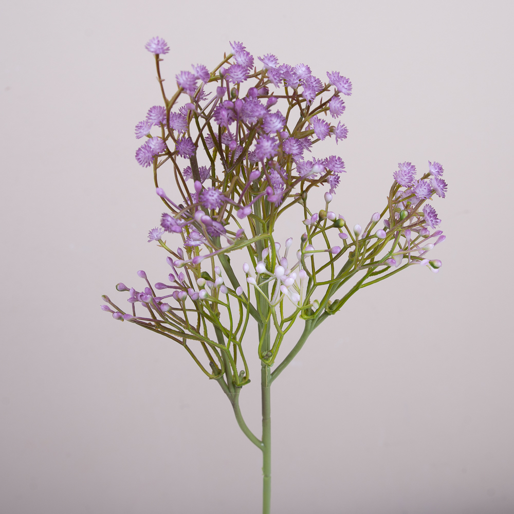 Гипсофила декоративная фиолетовая lavander