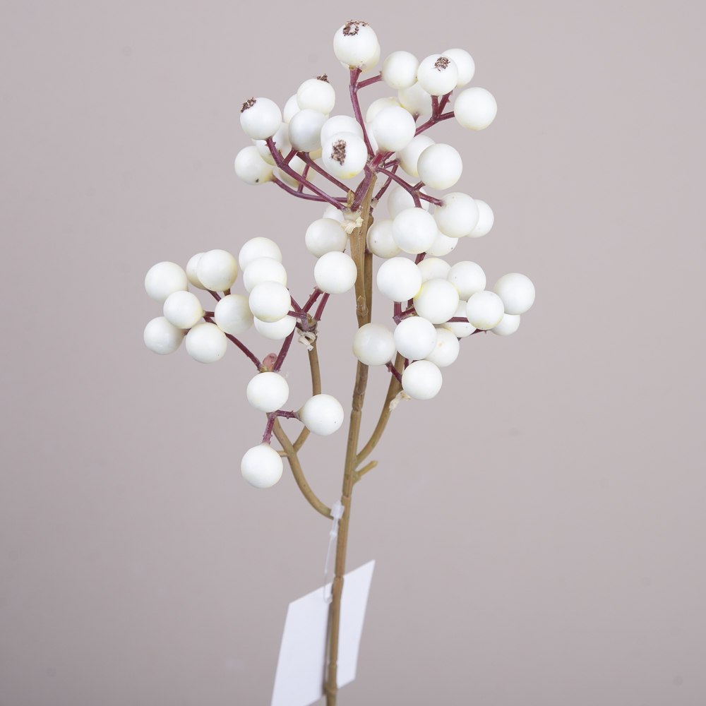 Ветка – ягоды белые