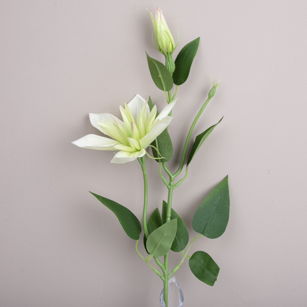 штучний клематис одинарний зелений (green/beauty)